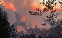 Orman yakan PKK’lı terörist için istenen ceza belli oldu