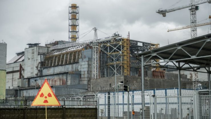 Çernobil mutantları: Radyasyona maruz kalan hayvanlar şaşkınlık yaratıyor