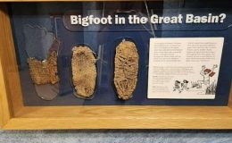 Arkeologlar araştırıyor: İki metrelik dev iskeletler merak uyandırıyor